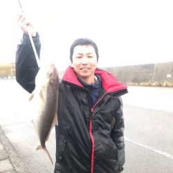 ジギング釣り果